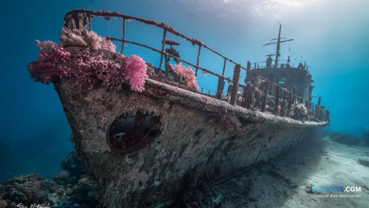 HTMS Sattakut Wreck Koh Tao Diving Guide: The Island's Signature Dive