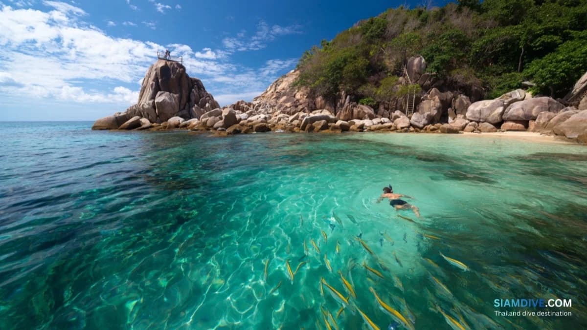Tanote Bay Koh Tao Guide: Snorkeling, Diving, and Cliff Jumping