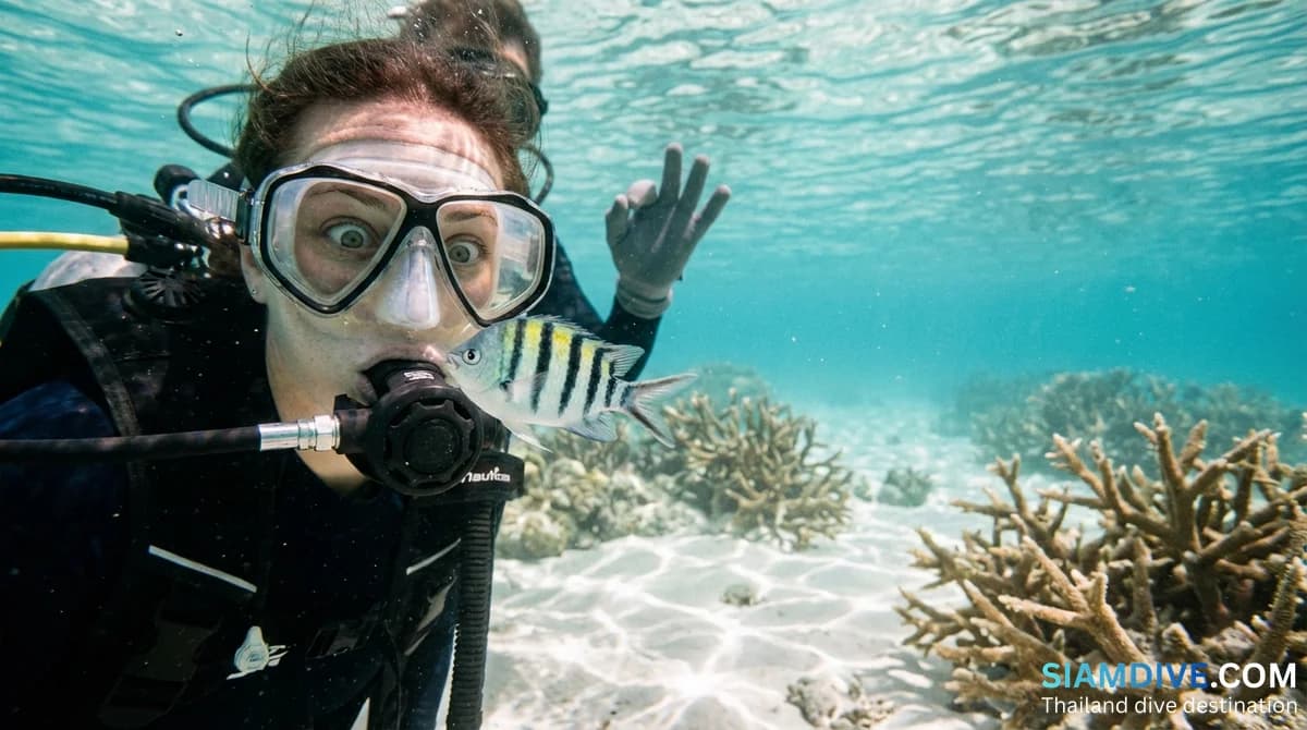 Warum du Tauchen lernen solltest — jenseits der Bucket-List-Romantik