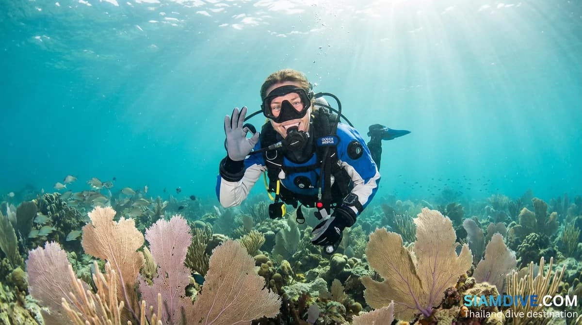Kannst du wirklich tauchen lernen? Die medizinische Checkliste, die niemand erklärt