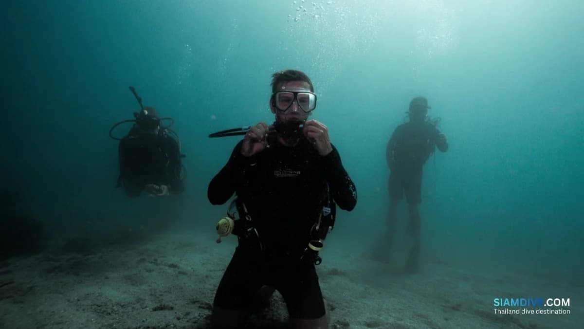 Never Dived Before? Here's Why Thailand Should Be Your First Ever Dive Trip