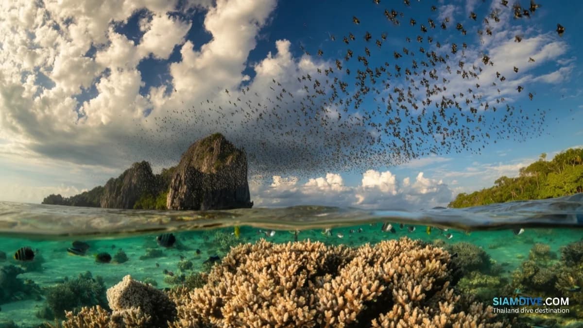 A Heart-Shaped Reef and a Royal Inscription at Koh Lang Ka Jiw
