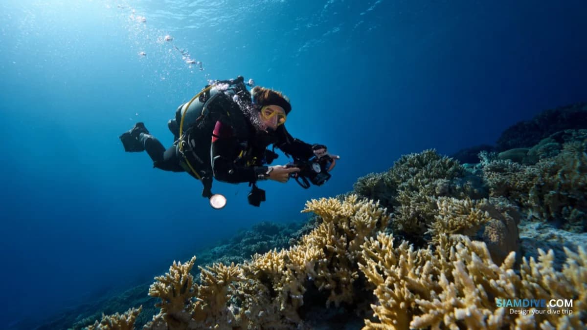 4 Breathing Mistakes That Empty Your Tank Before the Group