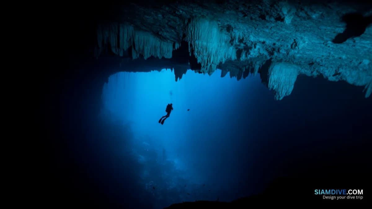 Why Divers Pay $350 to See Almost No Fish at the Blue Hole