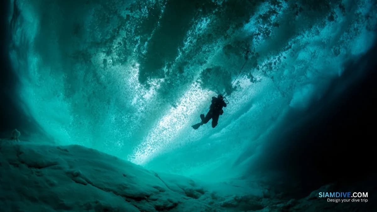 40 Metres of Visibility Under a Metre of Ice at Lake Baikal