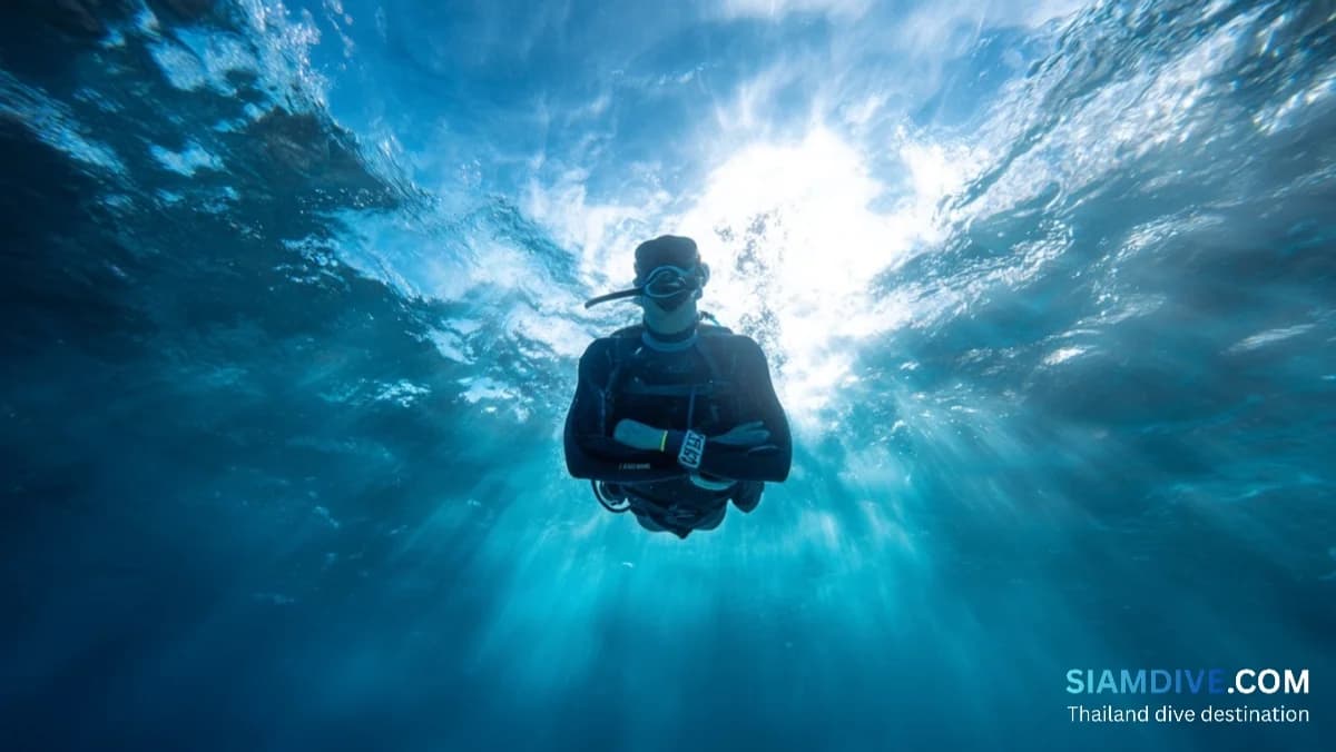 Safe Ascent Rate: The Diving Safety Rule Most Divers Break