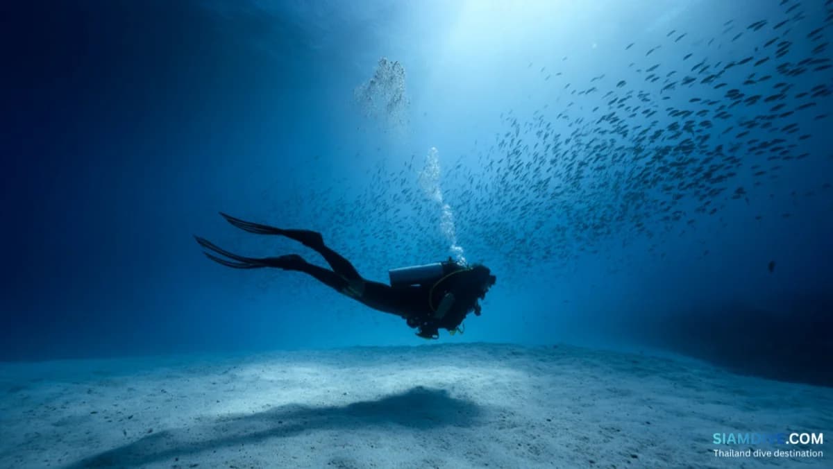 How to Actually Enjoy Scuba Diving: A Comfort & Confidence Guide