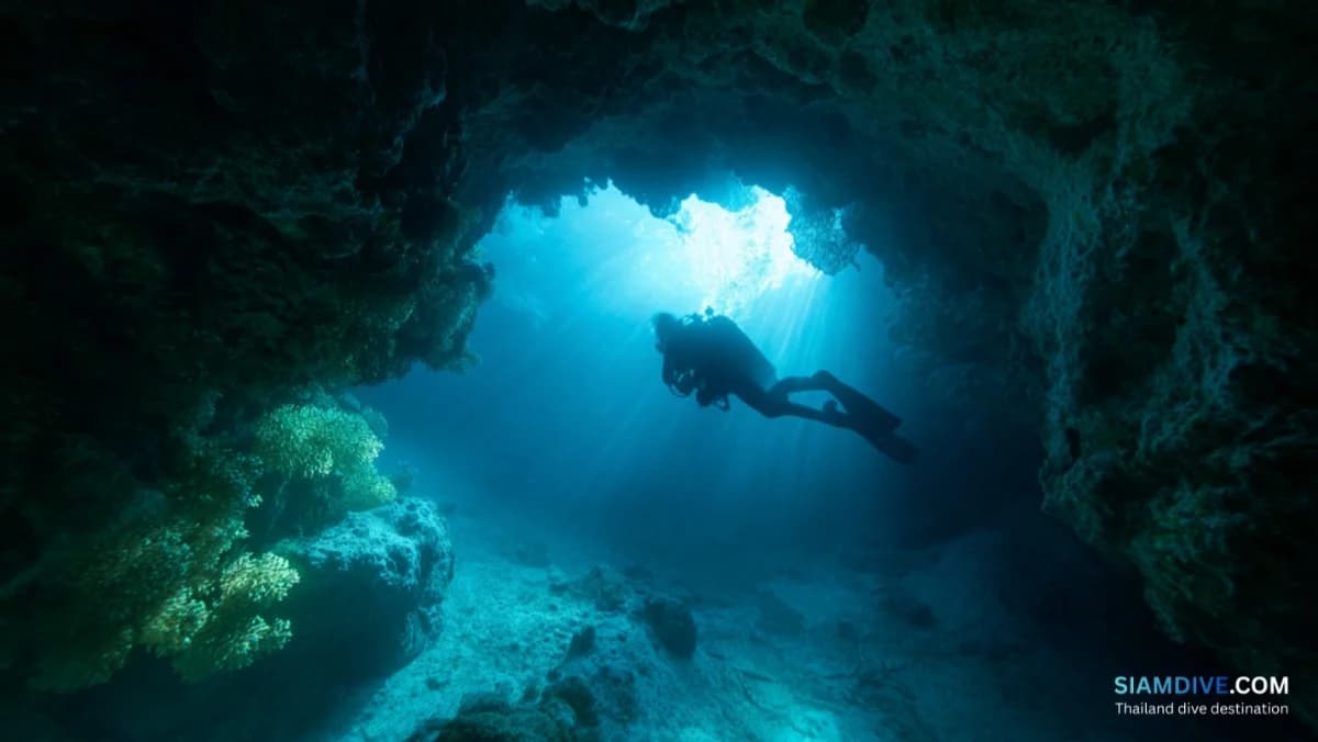 Koh Haa Diving Guide: Five Islands of Crystal Clear Water