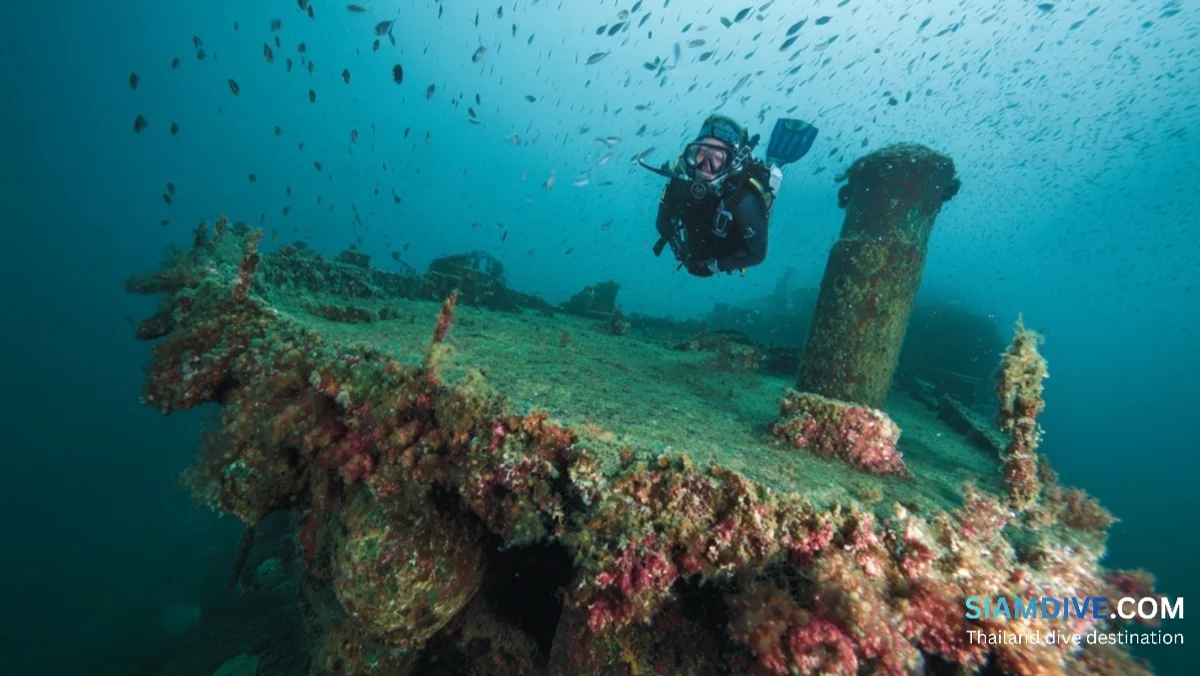 Samaesan Wreck Diving: Sattahip's Quieter Alternative to Pattaya