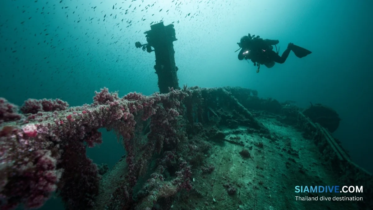 Samaesan Wreck Diving: Sattahip's Quieter Alternative to Pattaya — image 2