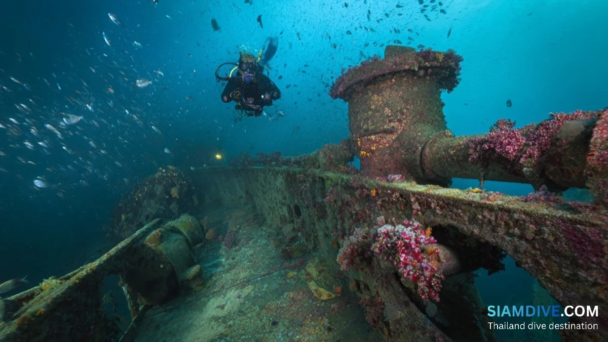 Samaesan Wreck Diving: Sattahip's Quieter Alternative to Pattaya — image 4