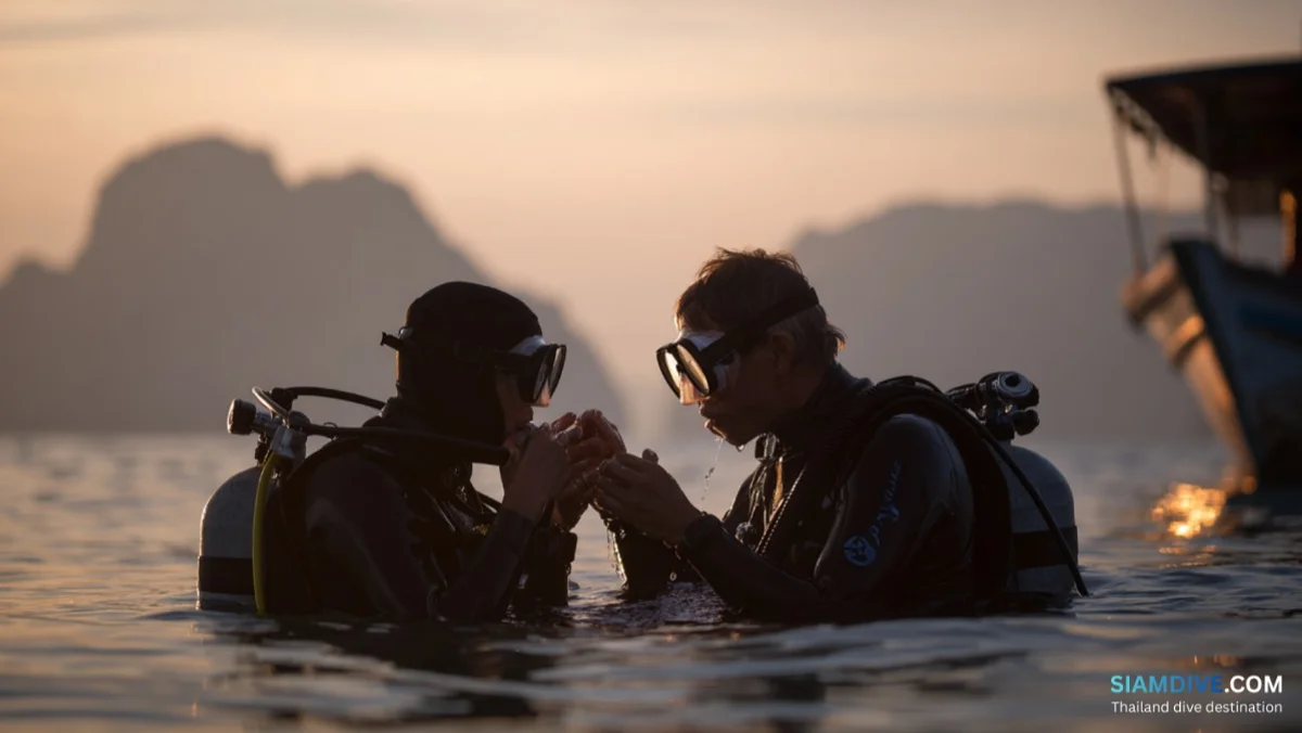 Scuba Diving Safety: A Beginner's Guide to Diving Safe & Smart — image 4