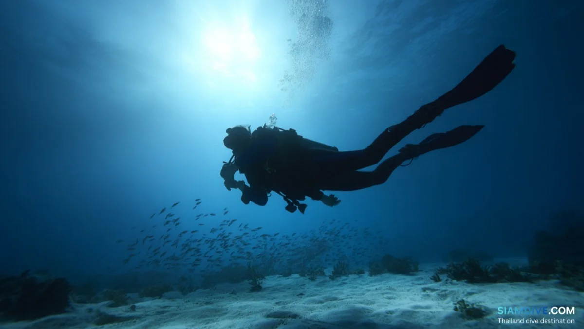 How to Actually Enjoy Scuba Diving: A Comfort & Confidence Guide — image 2