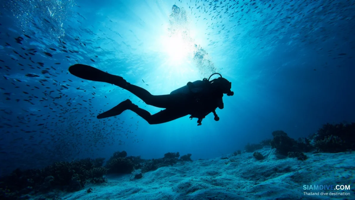 How to Actually Enjoy Scuba Diving: A Comfort & Confidence Guide — image 3