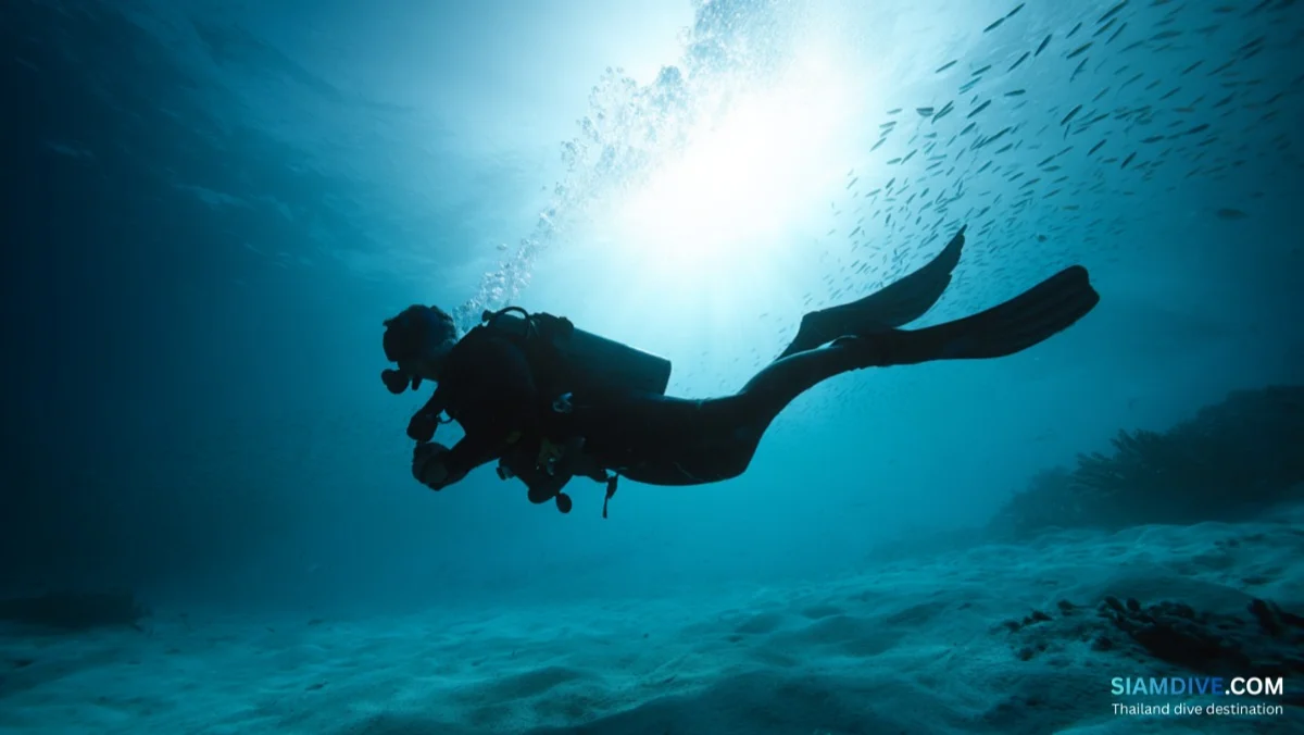 How to Actually Enjoy Scuba Diving: A Comfort & Confidence Guide — image 4
