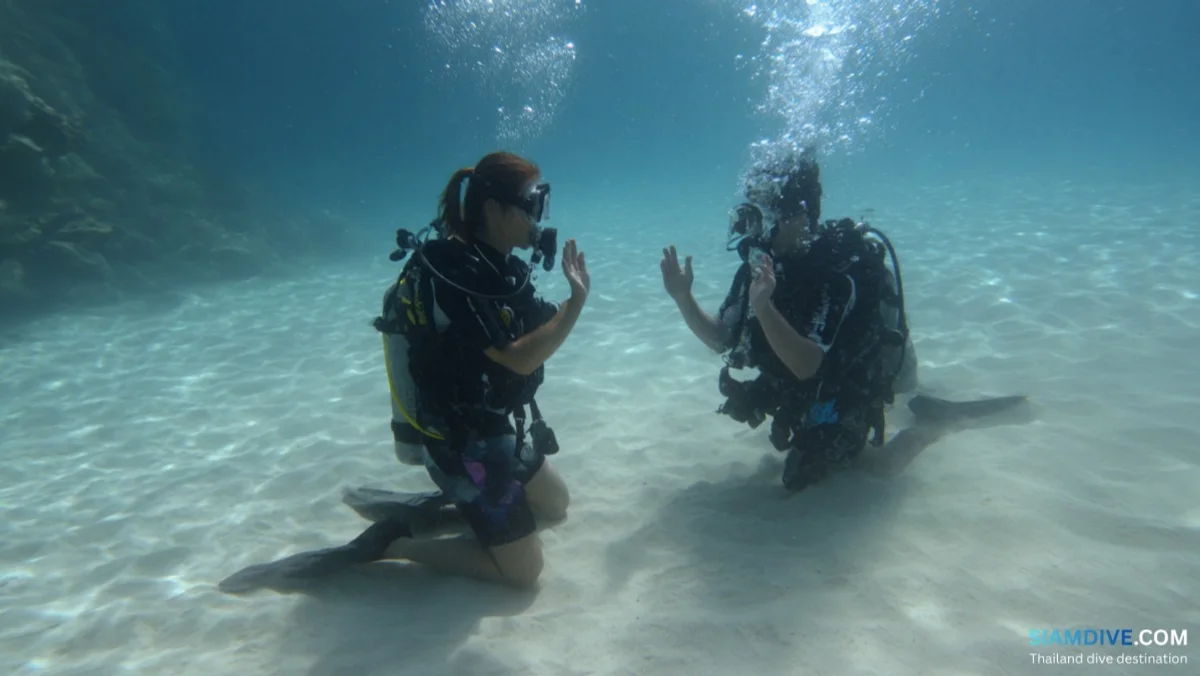How to Start Scuba Diving: A Complete Beginner's Guide — image 3