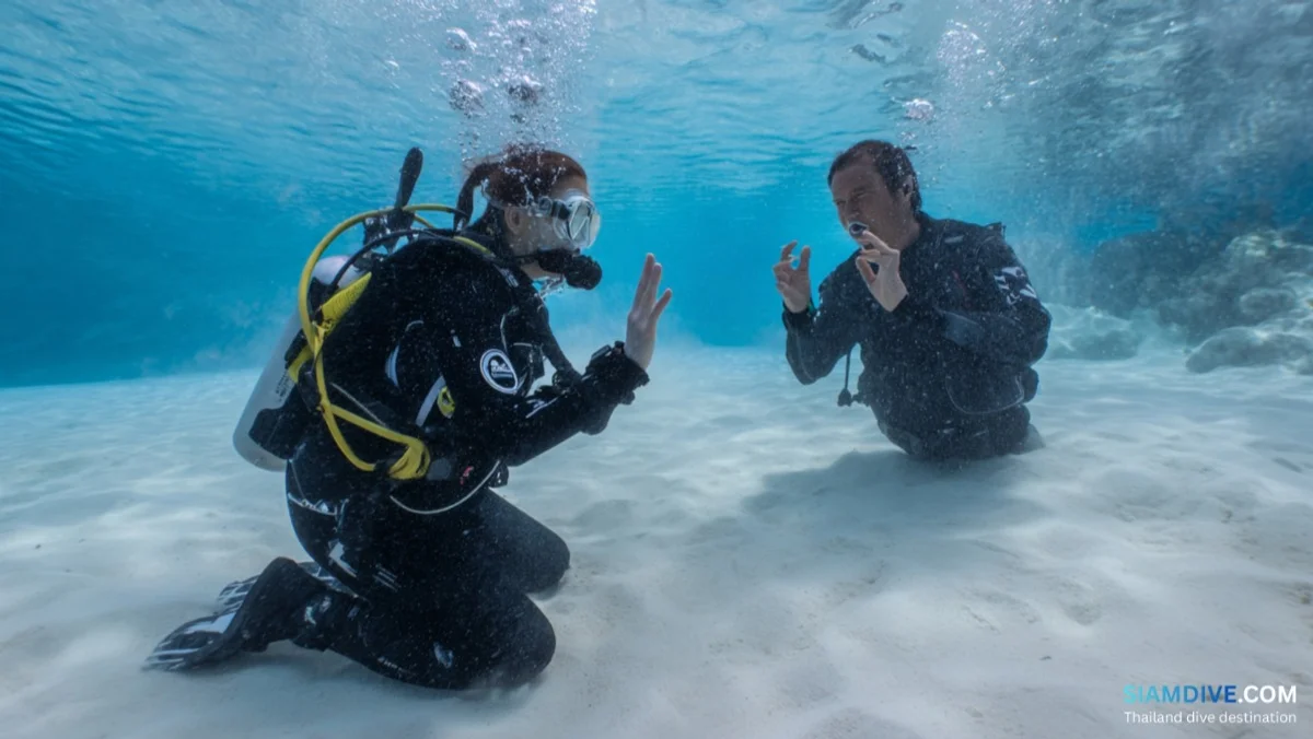 How to Start Scuba Diving: A Complete Beginner's Guide — image 4