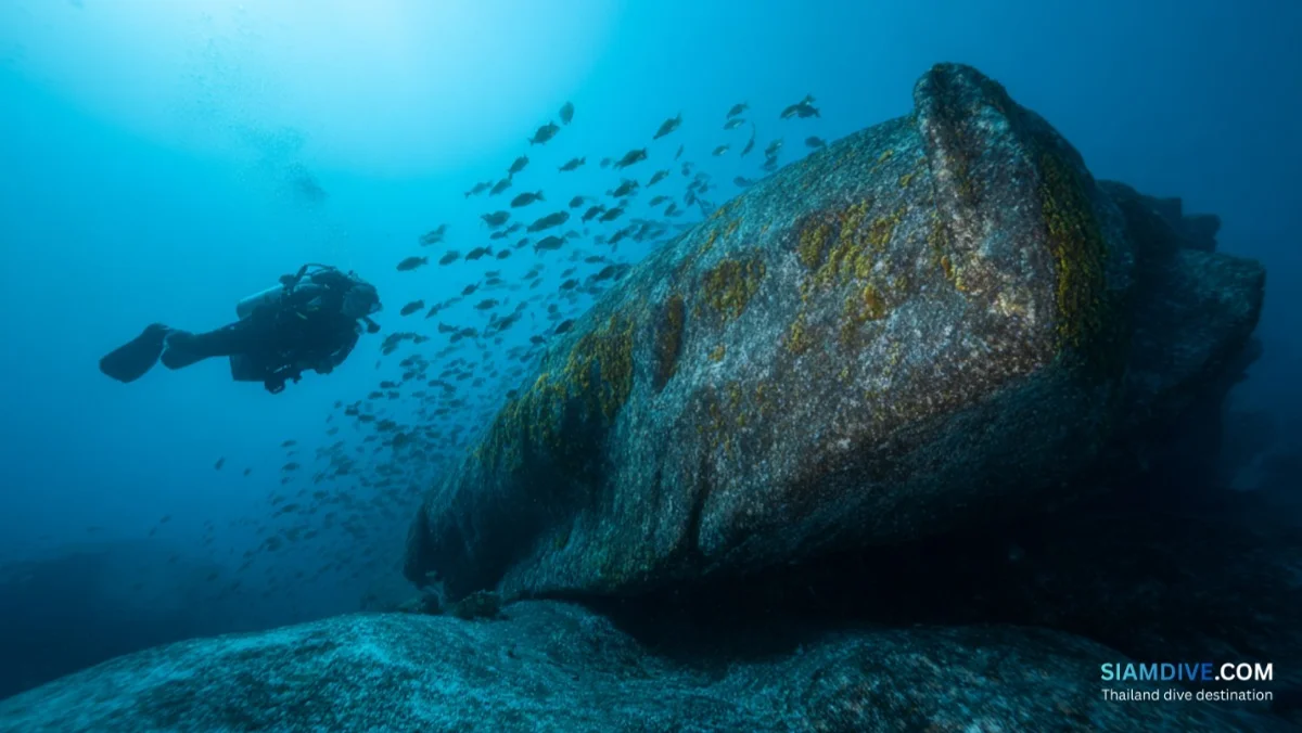 Hin Phae Diving Guide: Koh Tao's Quiet Granite Pinnacle — image 2