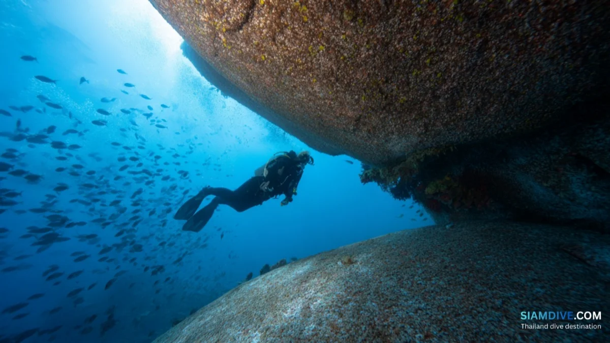 Hin Phae Diving Guide: Koh Tao's Quiet Granite Pinnacle — image 3