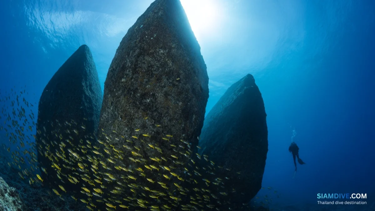 Triangle Pinnacle Diving Guide: The Gulf's Quietest Granite Site — image 3