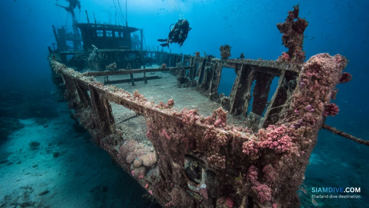 HTMS Sattakut Wreck Koh Tao Diving Guide: The Island's Signature Dive — image 4