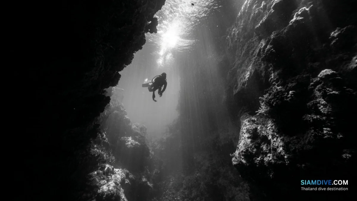 Green Rock Koh Tao Diving Guide: The Island's Best Swim-Through Site — image 4