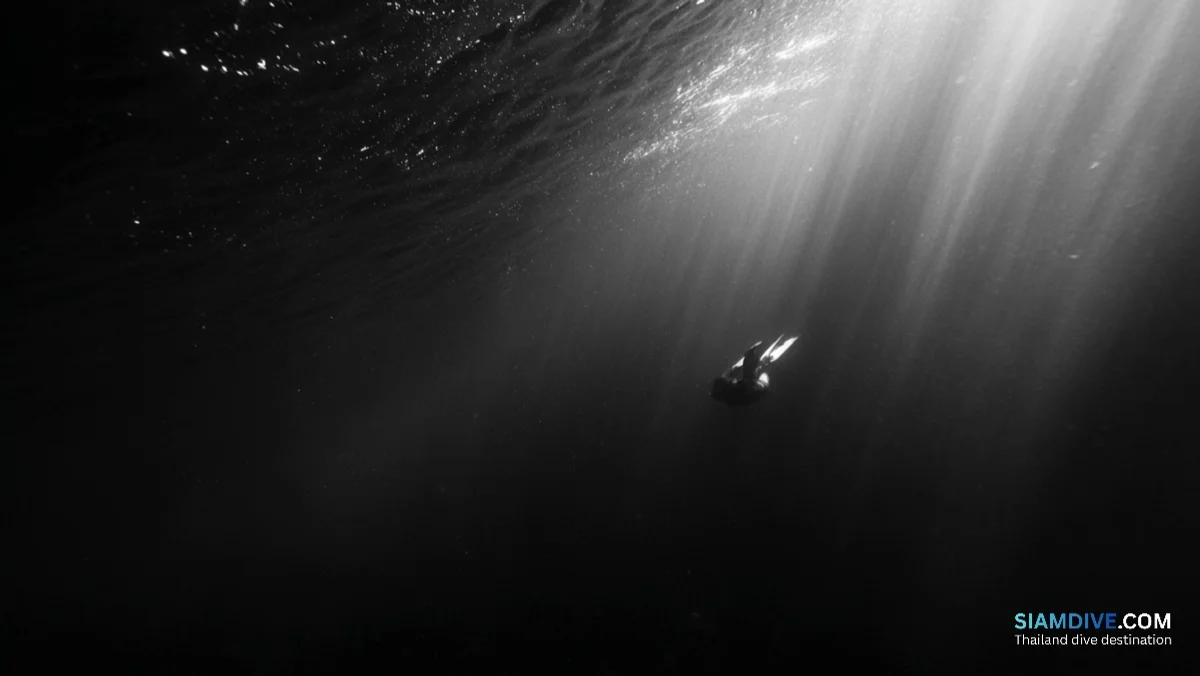 Surface Intervals: The Boring Part of Diving That Keeps You Alive — image 3