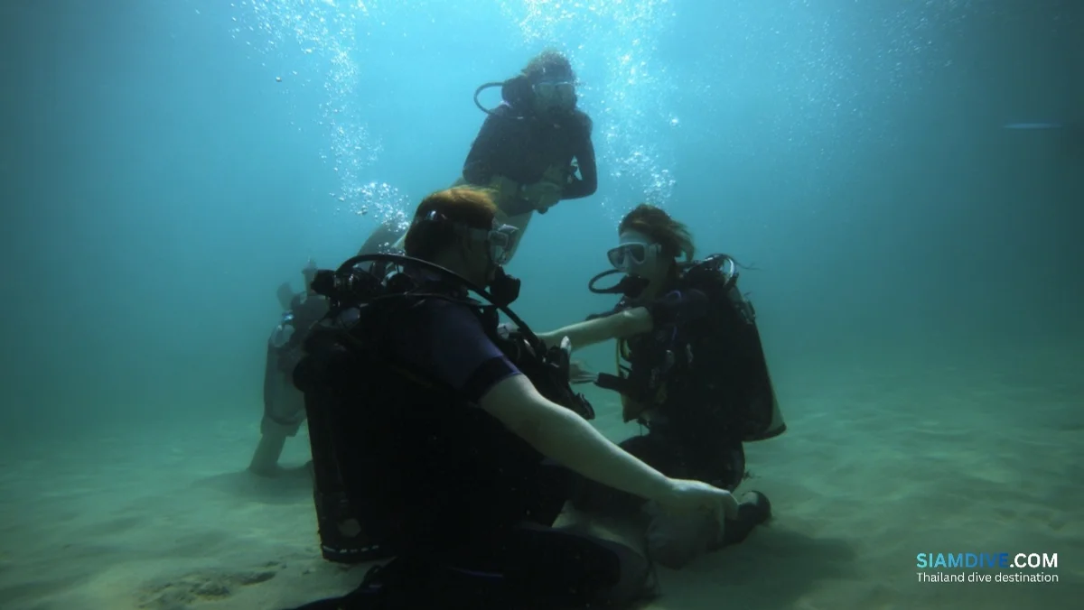 Never Dived Before? Here's Why Thailand Should Be Your First Ever Dive Trip — image 2