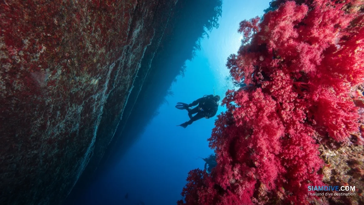 5 Depths Where Hin Daeng's Red Wall Changes Completely — image 4