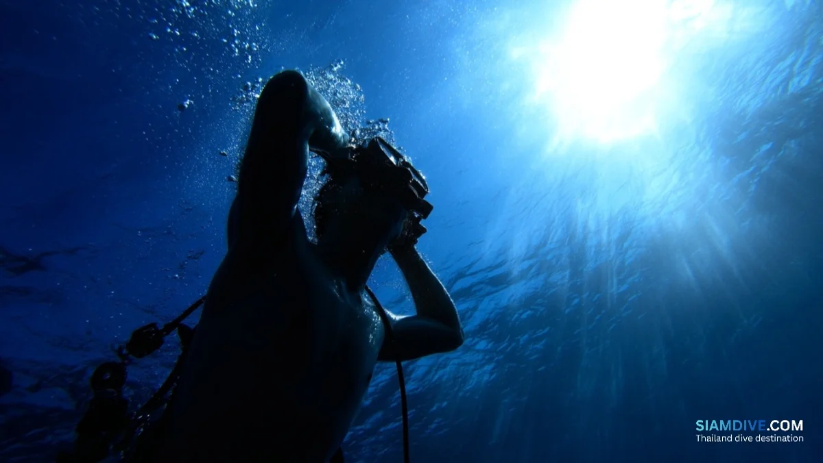 感冒药在25米失效：鼻窦反向挤压的代价