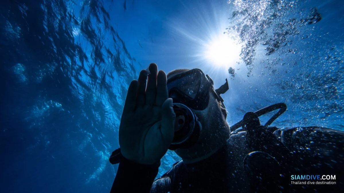 感冒药在25米失效：鼻窦反向挤压的代价 — image 2