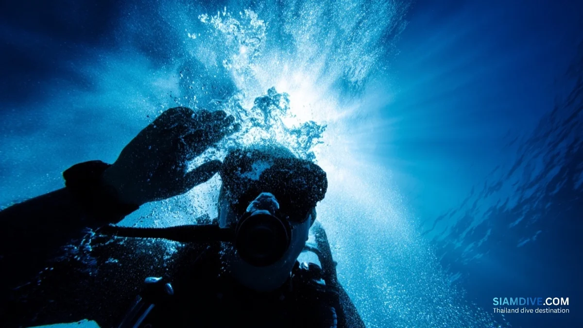 感冒药在25米失效：鼻窦反向挤压的代价 — image 3