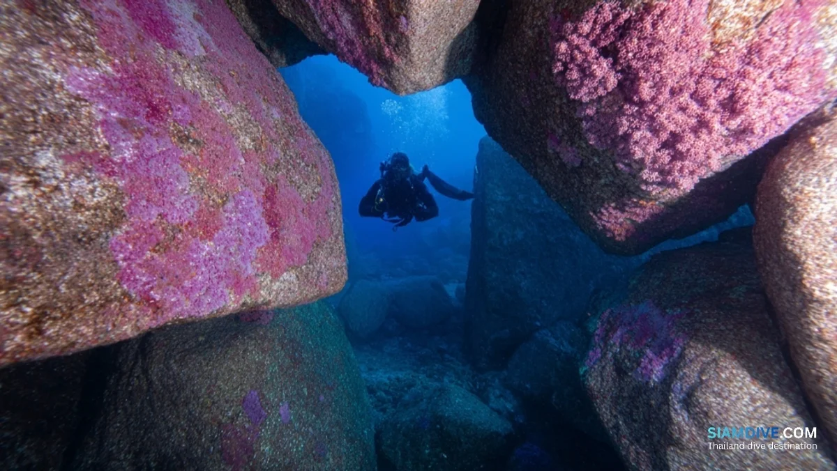 40米花岗岩迷宫：Elephant Head值得二潜 — image 2