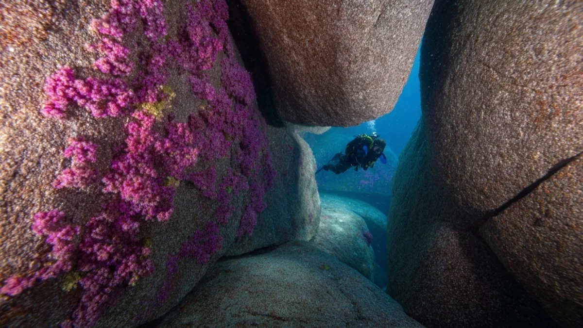 40米花岗岩迷宫：Elephant Head值得二潜 — image 4