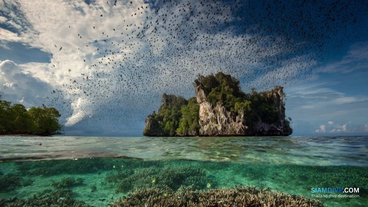 A Heart-Shaped Reef and a Royal Inscription at Koh Lang Ka Jiw — image 2