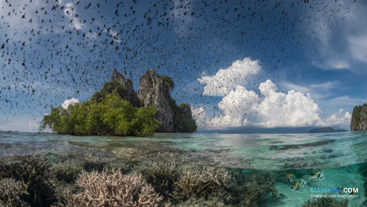 A Heart-Shaped Reef and a Royal Inscription at Koh Lang Ka Jiw — image 4