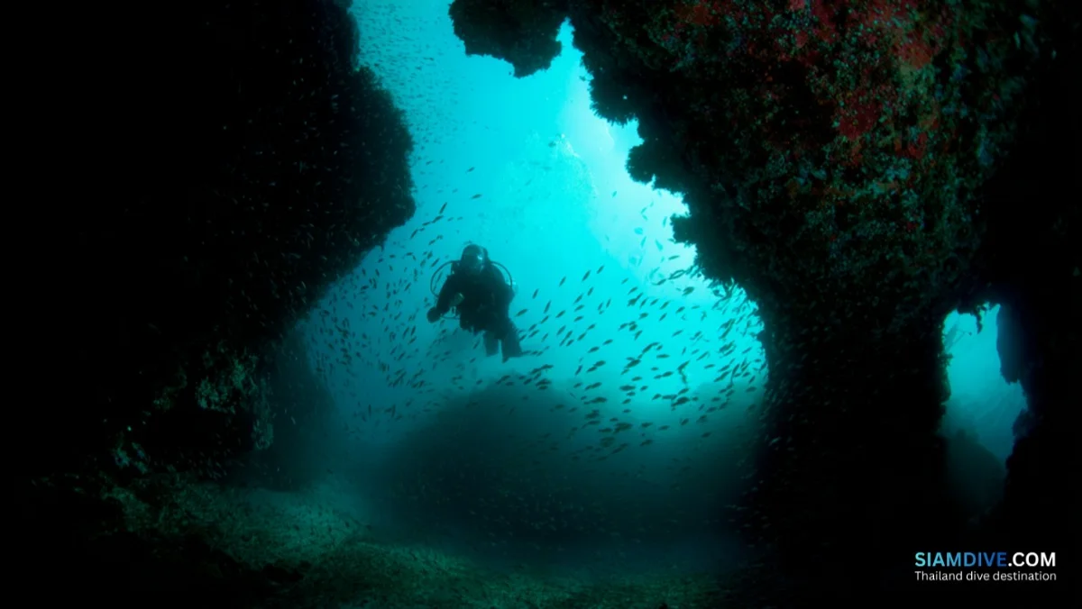 เกาะทะลุ ชุมพร: ลอดช่องหินปูนกลางอ่าวไทย — image 3