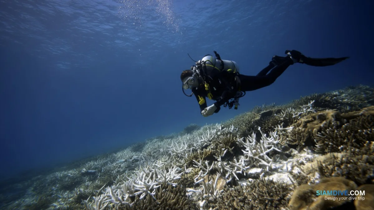 4 Breathing Mistakes That Empty Your Tank Before the Group — image 2