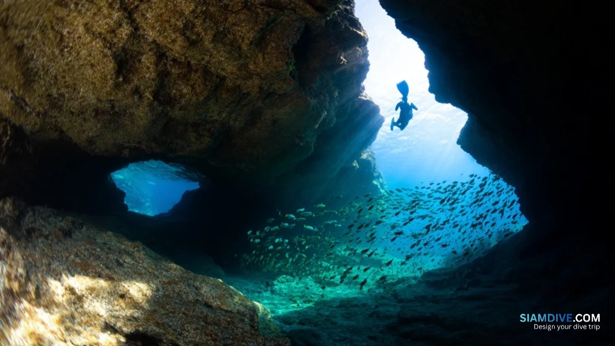 ช่องโพรงหินเกาะทะลุ + เกาะกุฎี: ทริปดำน้ำ 5 เกาะ ระยอง 650 บาท — image 2