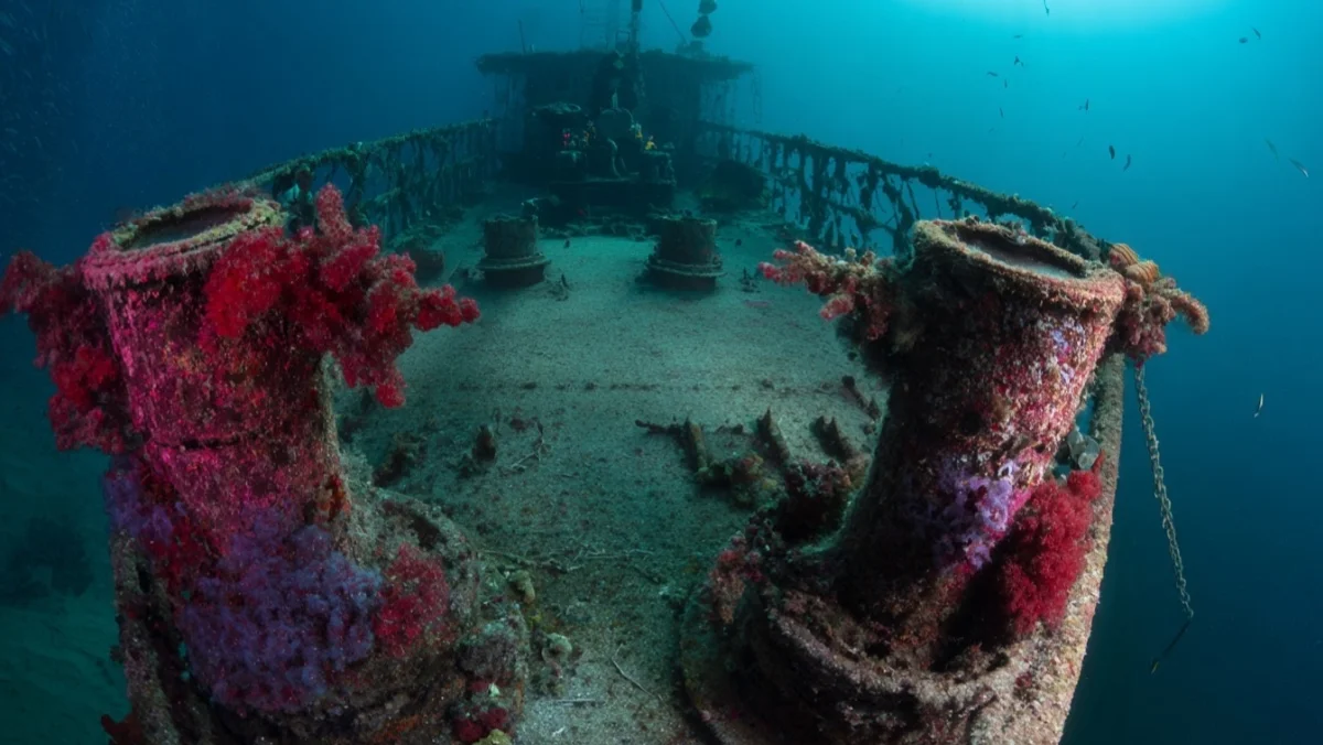 A Warship with 7 Battle Stars Now Grows Coral at 30 Metres — image 4