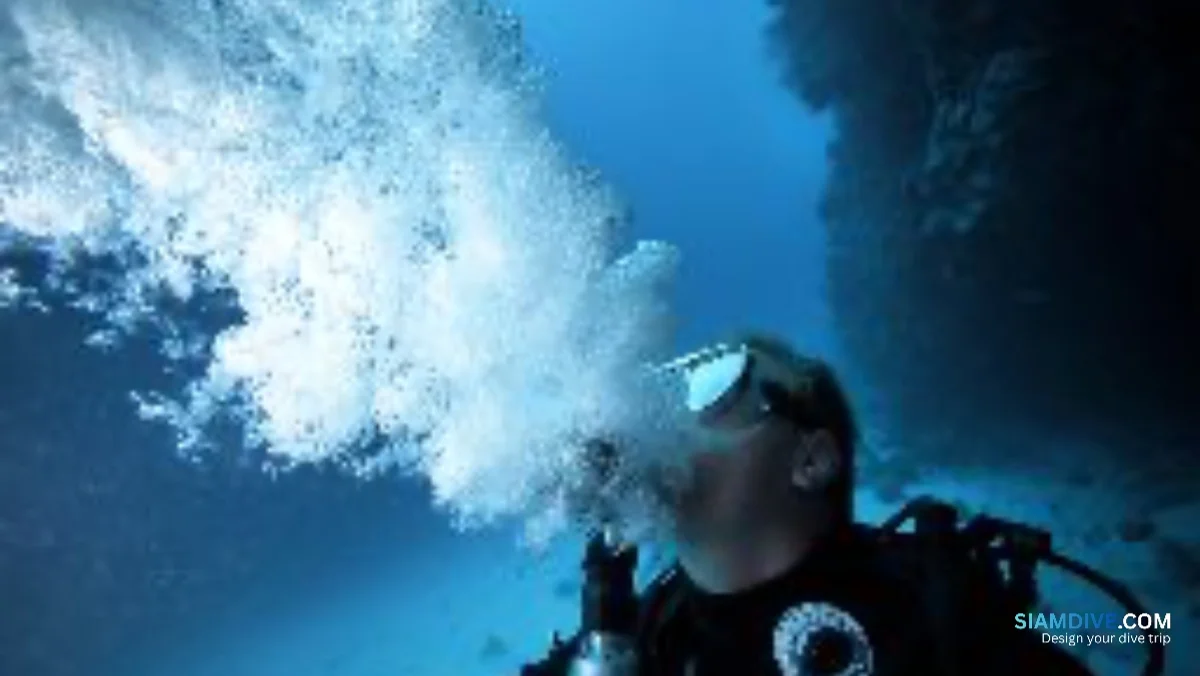 90 Seconds to Act When Your Regulator Free-Flows at Depth — image 2
