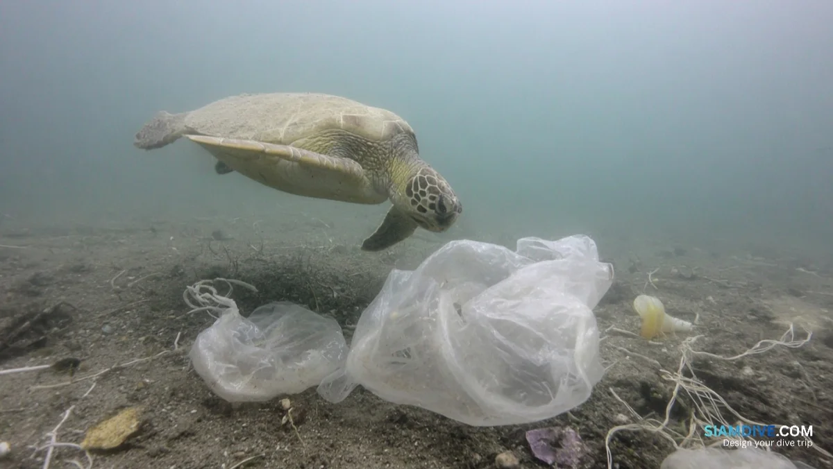 What Rubber Bands and Fishing Line Do to a Turtle's Heart — image 3
