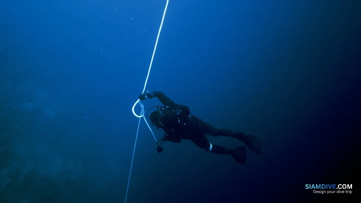 The 3-Second Mistake That Drags Divers to the Surface — image 4